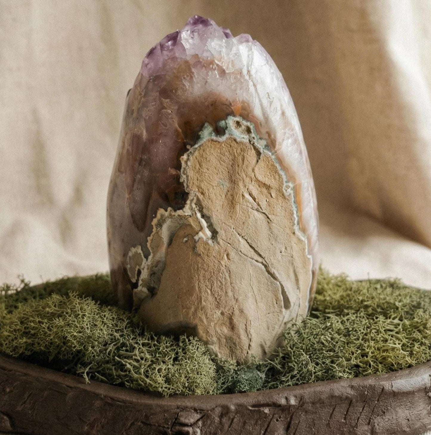 Amethyst Forest