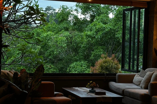 The Story of Soul Slow