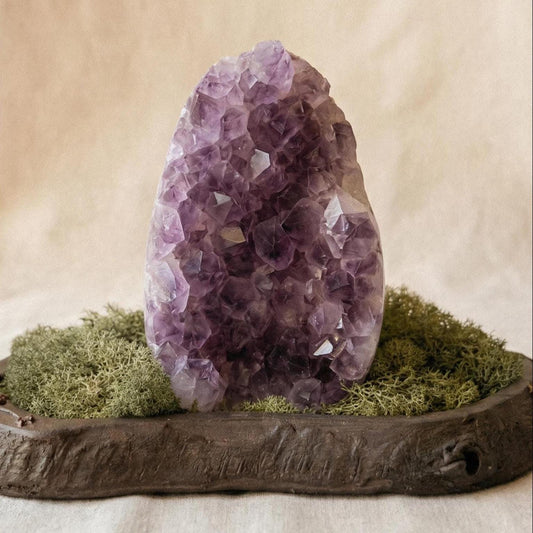 Amethyst Forest