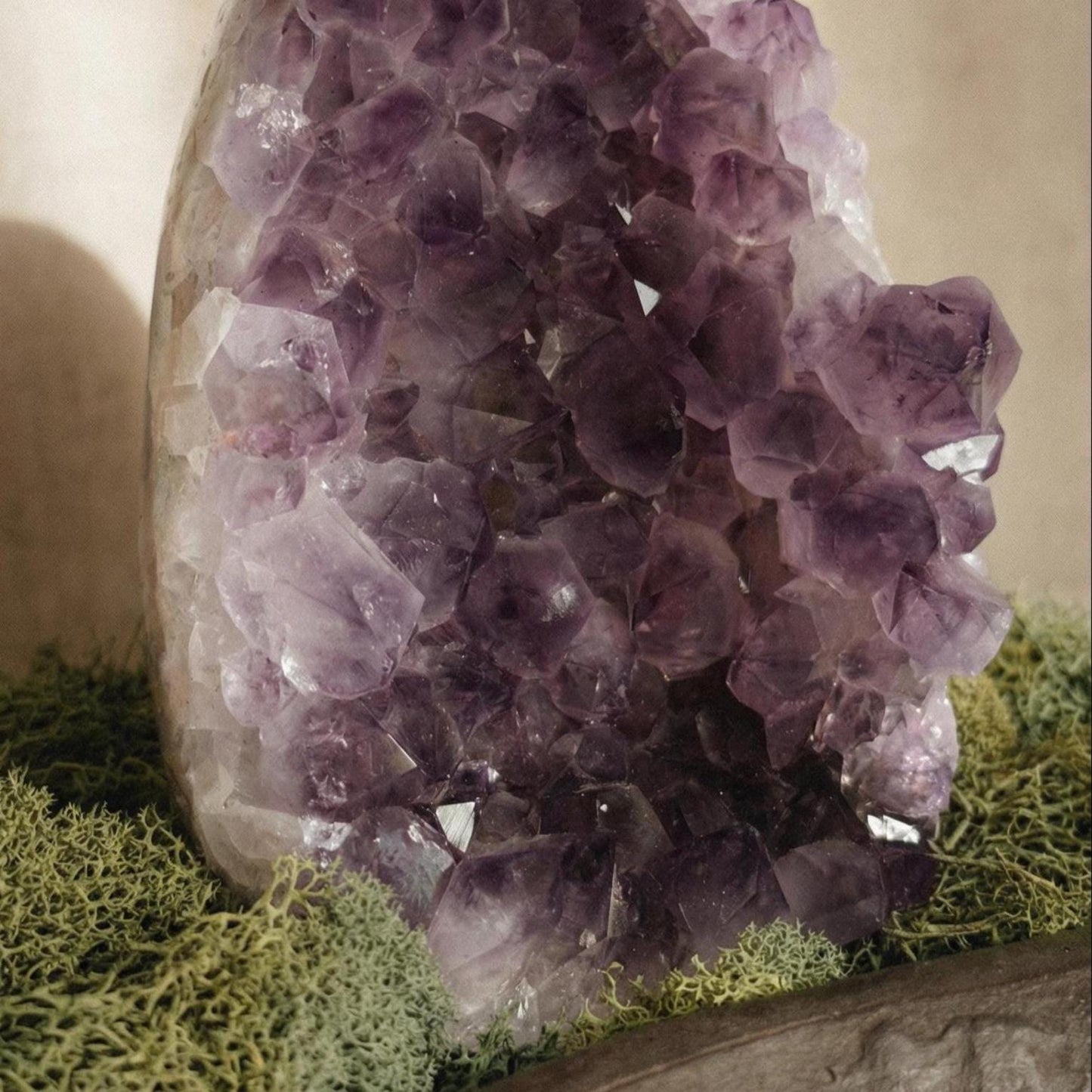 Amethyst Forest