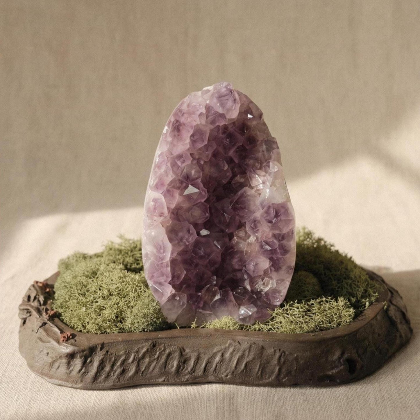 Amethyst Forest